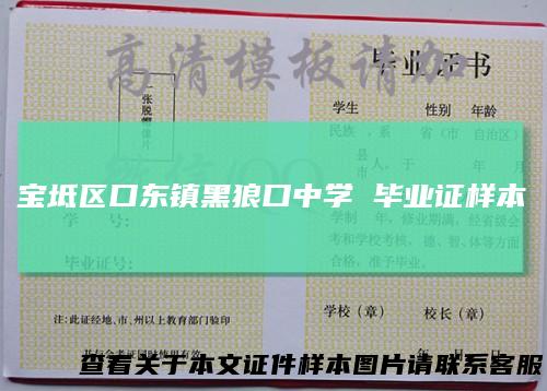 宝坻区口东镇黑狼口中学毕业证样本