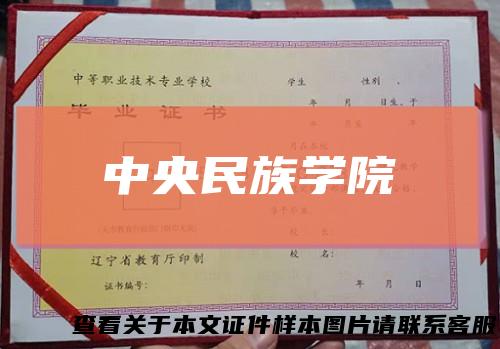 中央民族学院