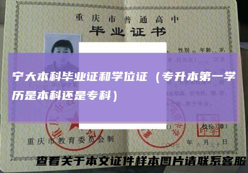 宁大本科毕业证和学位证（专升本第一学历是本科还是专科）