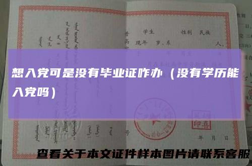想入党可是没有毕业证咋办（没有学历能入党吗）
