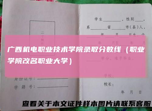 广西机电职业技术学院录取分数线（职业学院改名职业大学）