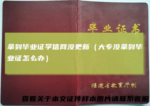 拿到毕业证学信网没更新(大专没拿到毕业证怎么办)