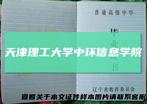 天津理工大学中环信息学院