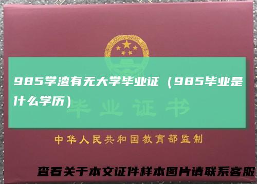 985学渣有无大学毕业证(985毕业是什么学历)