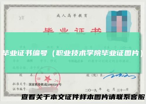 毕业证书编号（职业技术学院毕业证图片）
