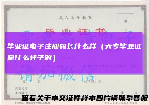 毕业证电子注册码长什么样(大专毕业证是什么样子的)