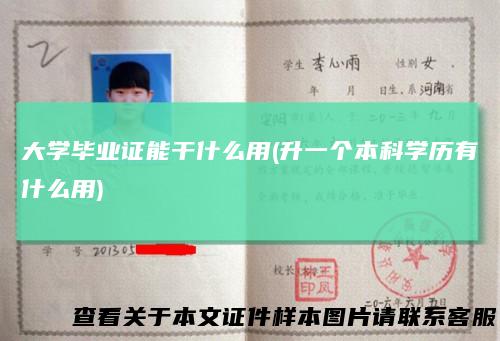 大学毕业证能干什么用(升一个本科学历有什么用)