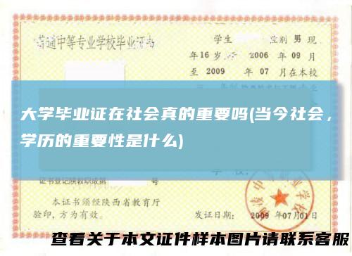 大学毕业证在社会真的重要吗(当今社会,学历的重要性是什么)