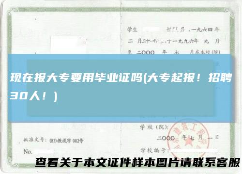 现在报大专要用毕业证吗(大专起报！招聘30人！)