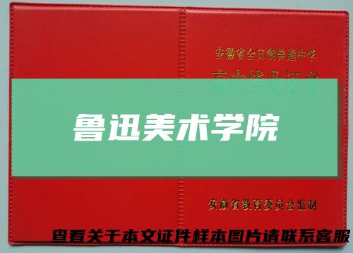 鲁迅美术学院