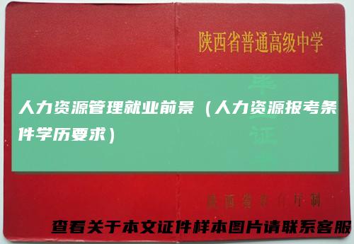 人力资源管理就业前景(人力资源报考条件学历要求)