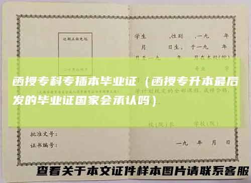 函授专科专插本毕业证(函授专升本最后发的毕业证国家会承认吗)