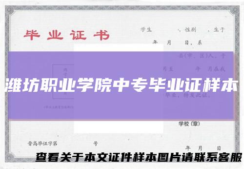 潍坊职业学院中专毕业证样本
