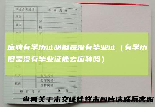 应聘有学历证明但是没有毕业证(有学历但是没有毕业证能去应聘吗)