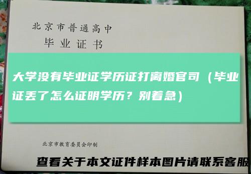 大学没有毕业证学历证打离婚官司(毕业证丢了怎么证明学历?别着急)