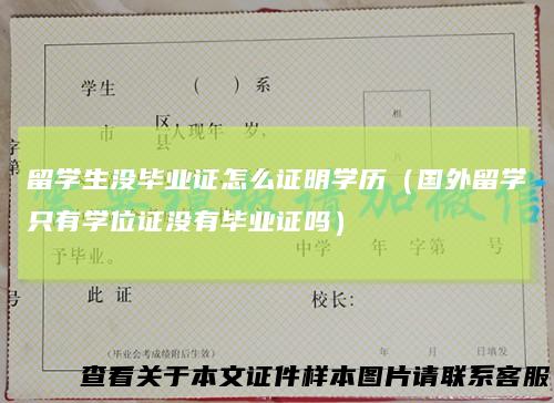 留学生没毕业证怎么证明学历（国外留学只有学位证没有毕业证吗）
