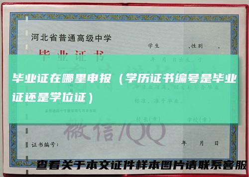 毕业证在哪里申报（学历证书编号是毕业证还是学位证）