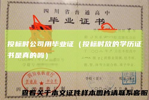 投标时公司用毕业证（投标时放的学历证书是真的吗）