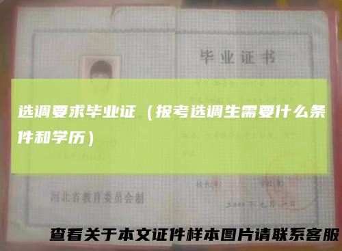 选调要求毕业证（报考选调生需要什么条件和学历）