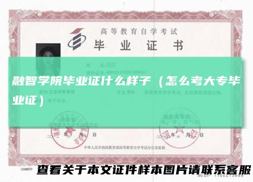 融智学院毕业证什么样子(怎么考大专毕业证)