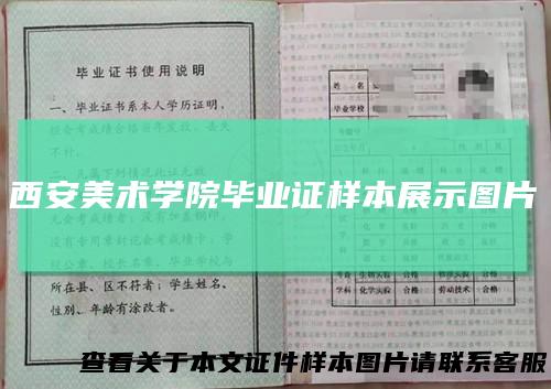 西安美术学院毕业证样本展示图片
