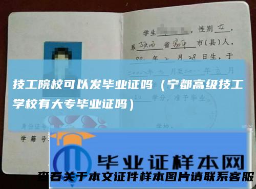 技工院校可以发毕业证吗(宁都高级技工学校有大专毕业证吗)