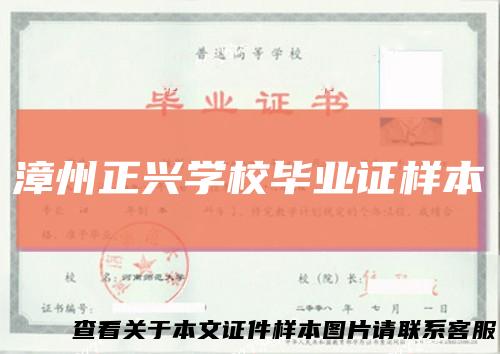 漳州正兴学校毕业证样本