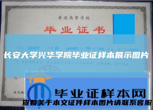 长安大学兴华学院毕业证样本展示图片