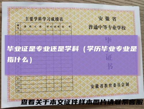 毕业证是专业还是学科(学历毕业专业是指什么)