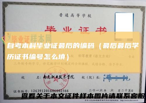 自考本科毕业证最后的编码（最后最后学历证书编号怎么填）