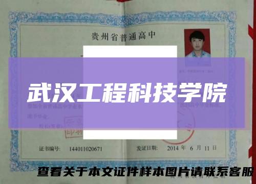 武汉工程科技学院