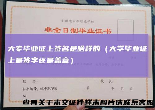 大专毕业证上签名是啥样的(大学毕业证上是签字还是盖章)