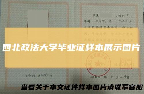 西北政法大学毕业证样本展示图片