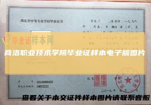 商洛职业技术学院毕业证样本电子版图片