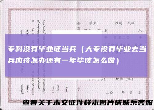 专科没有毕业证当兵(大专没有毕业去当兵应孩怎办还有一年毕该怎么做)