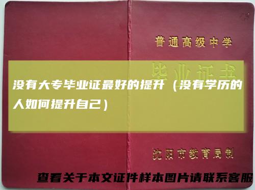 没有大专毕业证最好的提升（没有学历的人如何提升自己）