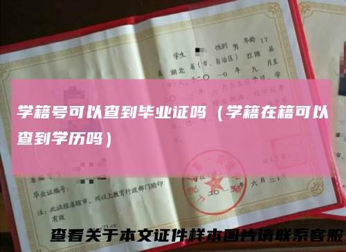 学籍号可以查到毕业证吗(学籍在籍可以查到学历吗)