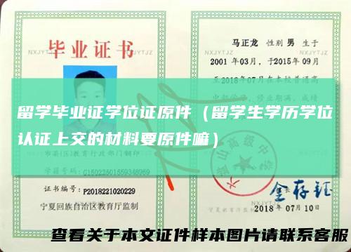 留学毕业证学位证原件(留学生学历学位认证上交的材料要原件嘛)