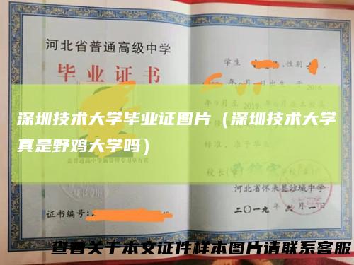 深圳技术大学毕业证图片(深圳技术大学真是野鸡大学吗)