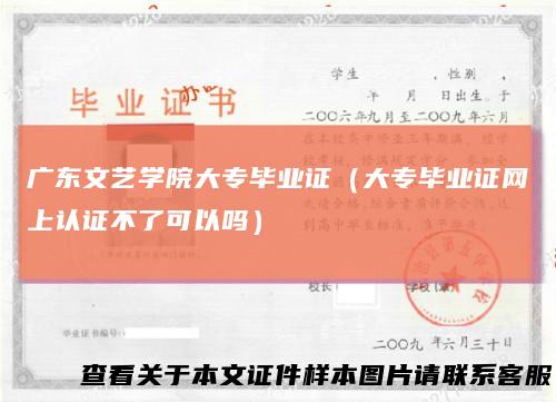 广东文艺学院大专毕业证（大专毕业证网上认证不了可以吗）