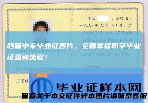 秒查中专毕业证图片,全面掌握职字毕业证查询流程!