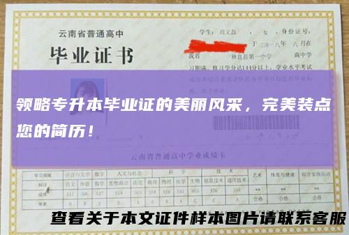 领略专升本毕业证的美丽风采,完美装点您的简历!
