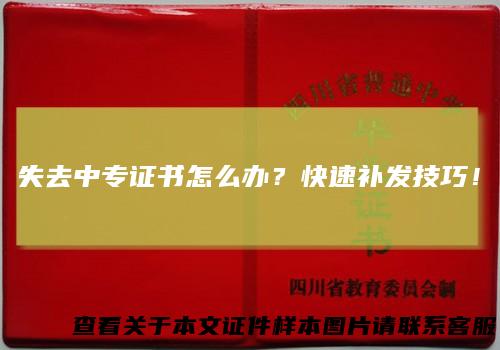 失去中专证书怎么办？快速补发技巧！
