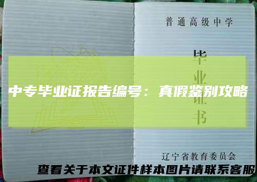 中专毕业证报告编号:真假鉴别攻略