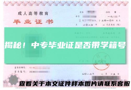 揭秘!中专毕业证是否带学籍号