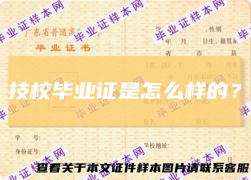 技校毕业证是怎么样的?