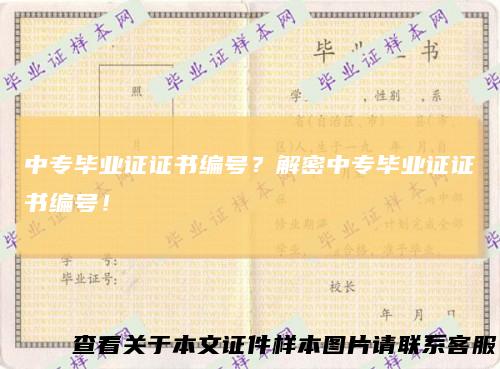 中专毕业证证书编号?解密中专毕业证证书编号!