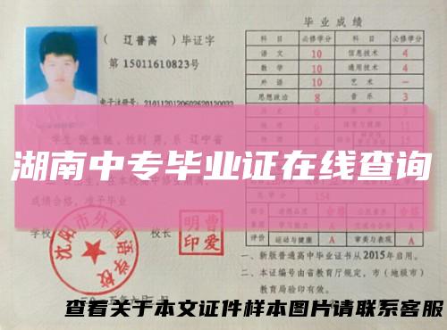 湖南中专毕业证在线查询