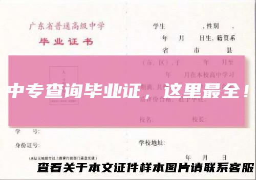 中专查询毕业证，这里最全！