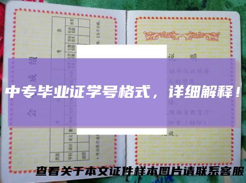 中专毕业证学号格式,详细解释!